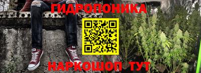 скорость Анапа