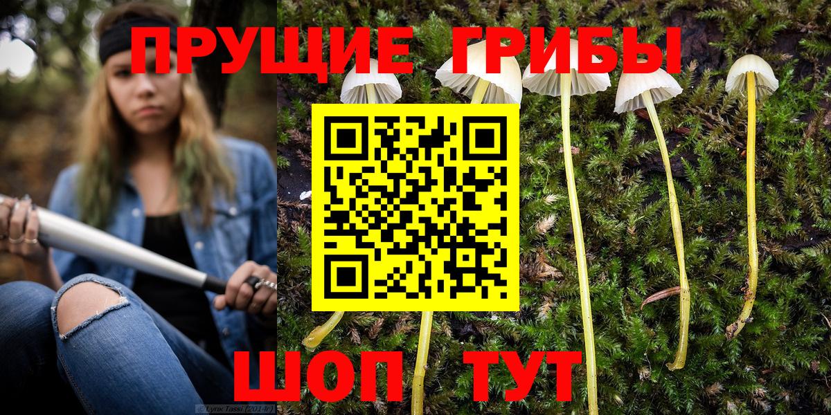 купить наркоту  Псилоцибиновые грибы Cubensis  Вход с VPN  Нарьян-Мар 